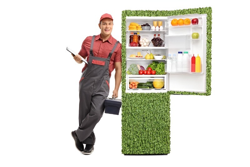 Efficient DIY Solutions and When to Call for Refrigerator Repair